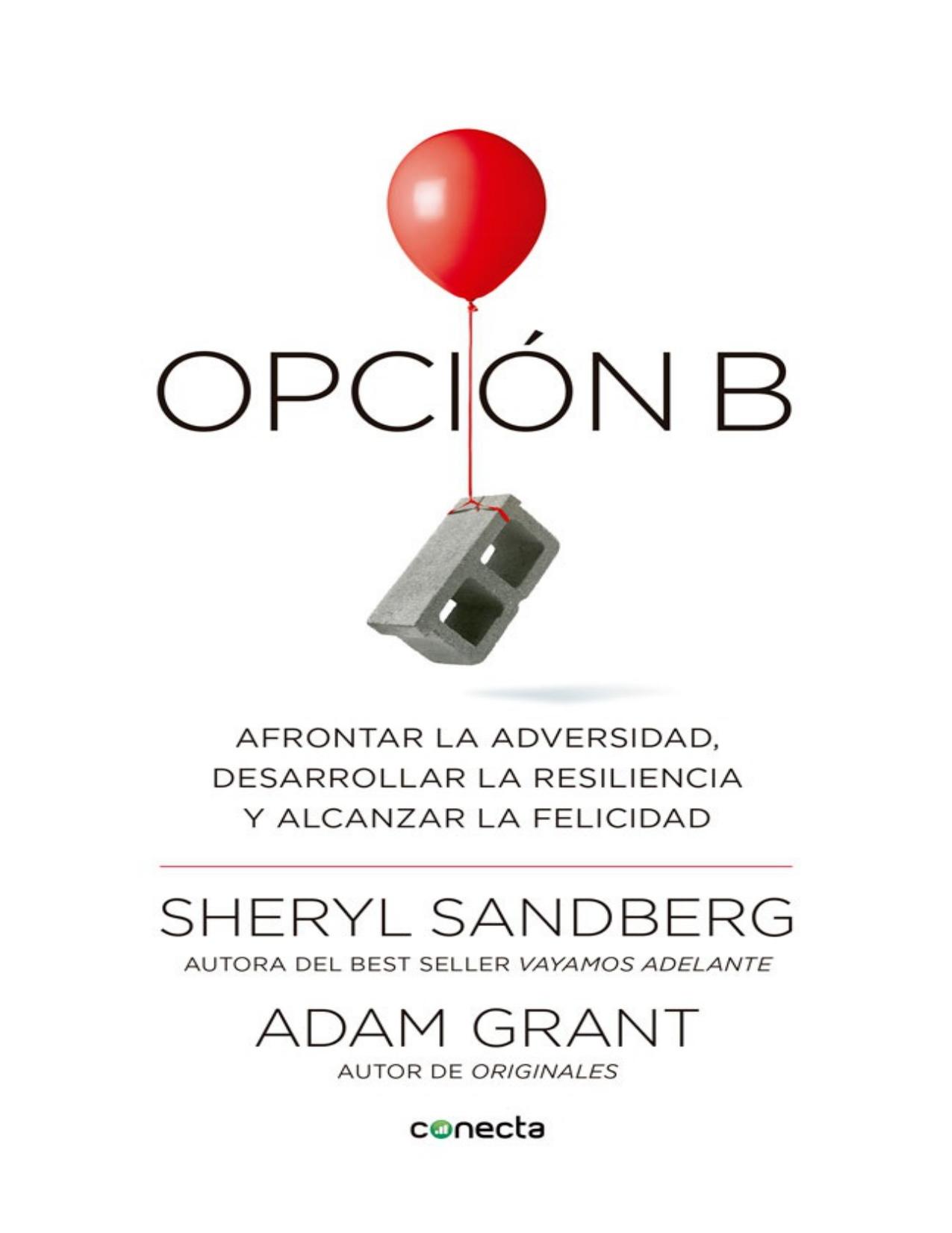 Opción B