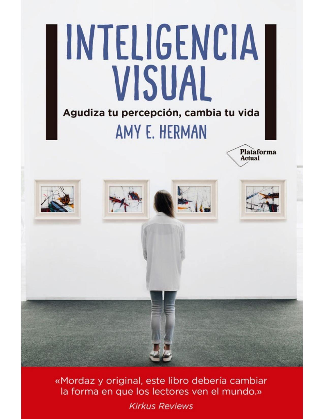 Inteligencia visual