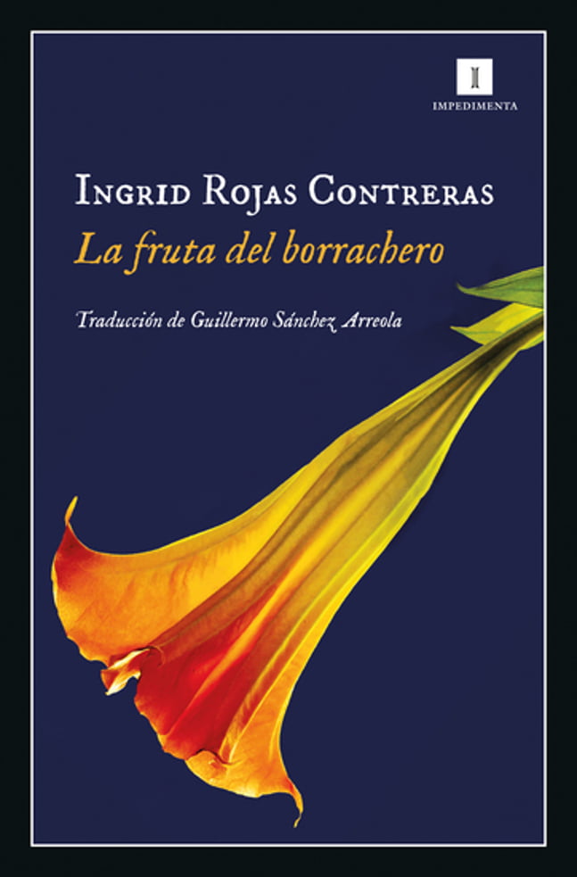 La fruta del borrachero