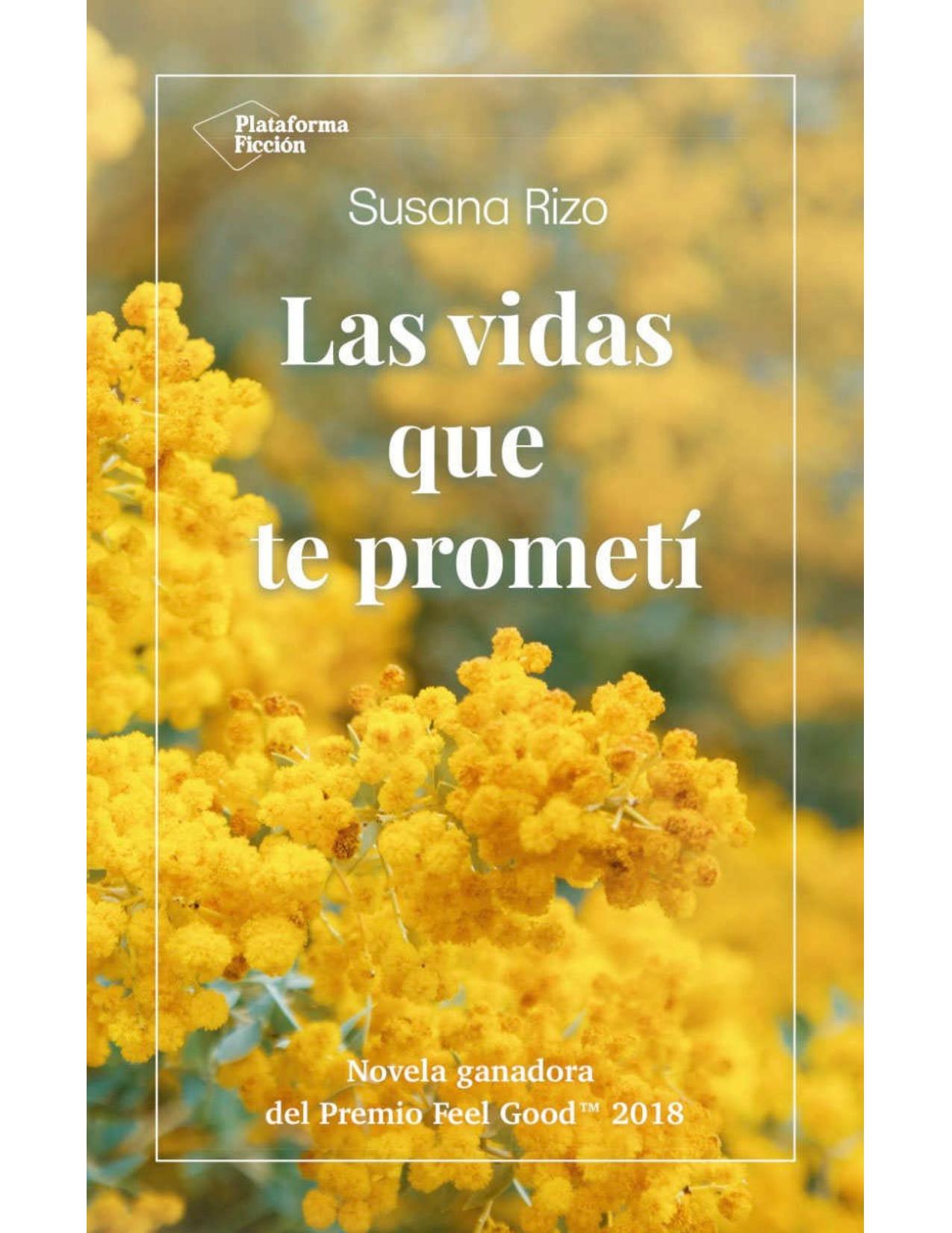 Las vidas que te prometí (Spanish Edition)