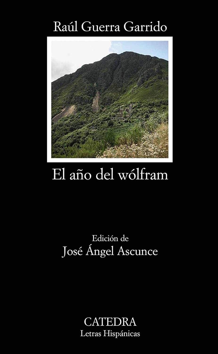 El a&ntilde;o del w&oacute;lfram (Letras Hisp&aacute;nicas) (Spanish Edition)