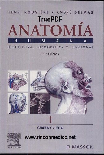 Anatomía humana