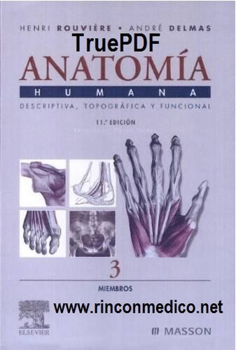 Anatomía Humana