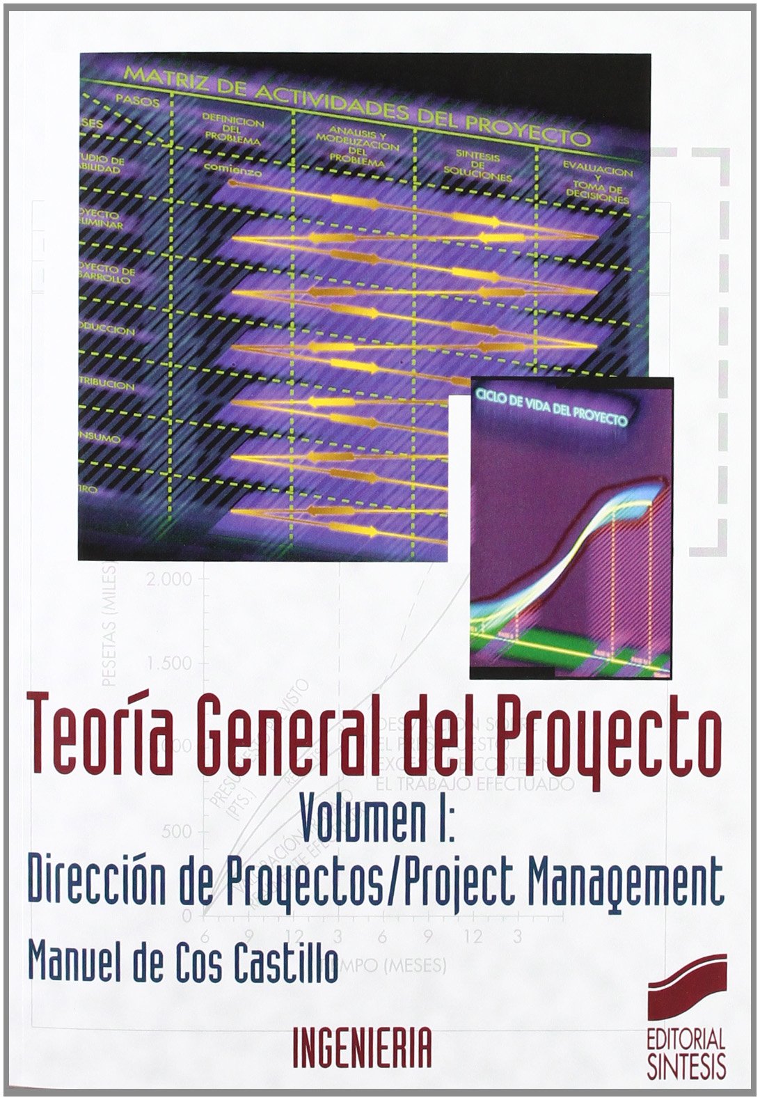 Teoria General del Proyecto - Volumen I