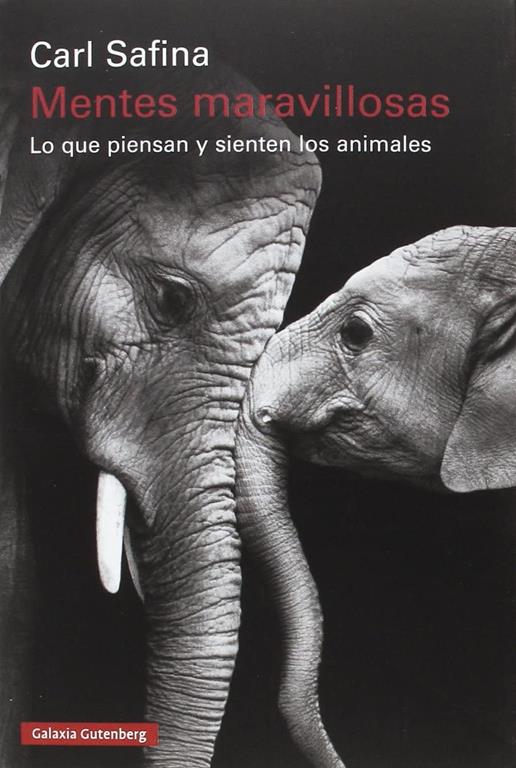 Mentes maravillosas: Lo que piensan y sienten los animales (R&uacute;stica) (Spanish Edition)