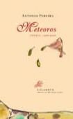 Meteoros : poesía, 1962-2006