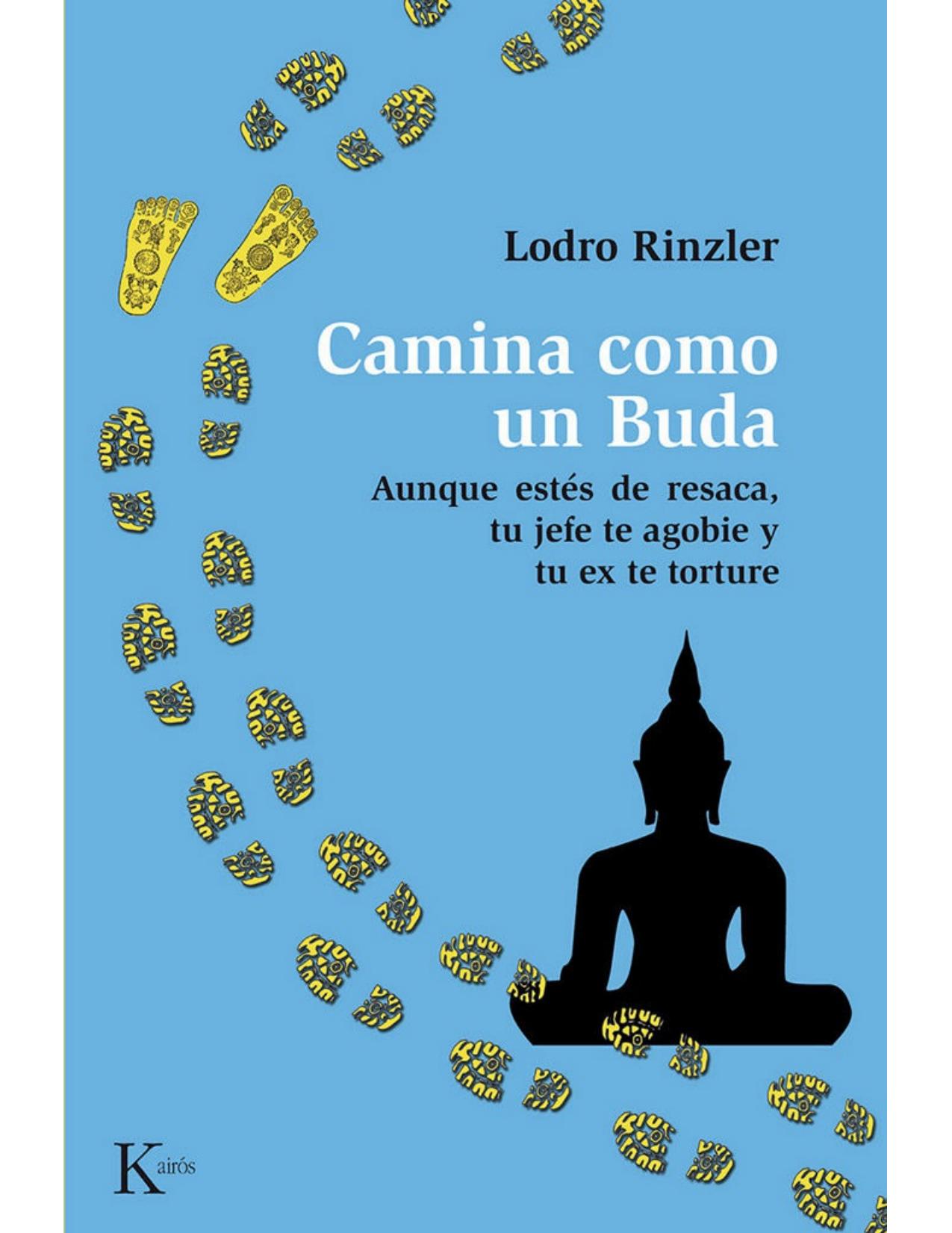 Camina como un Buda : Aunque estés de resaca, tu jefe te agobie y tu ex te torture.