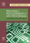 Processo, procedimento e ato processual : o plano da eficácia