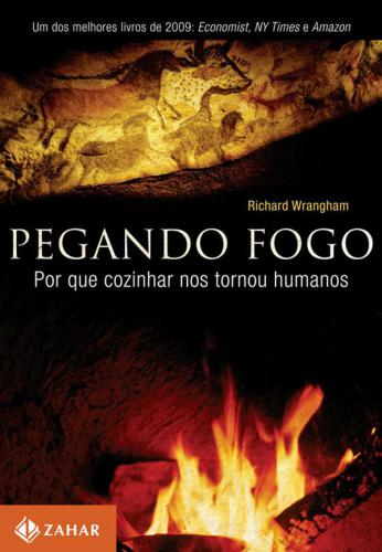 Pegando fogo