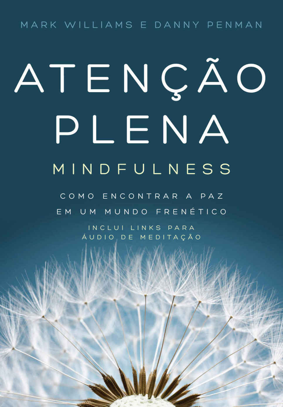 Atenção plena - Mindfulness