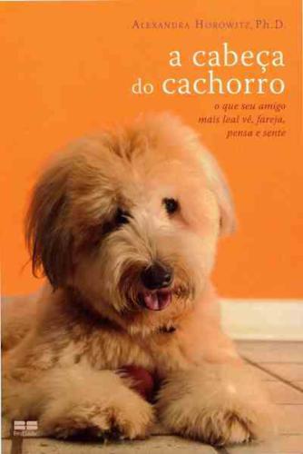 A Cabeça do Cachorro