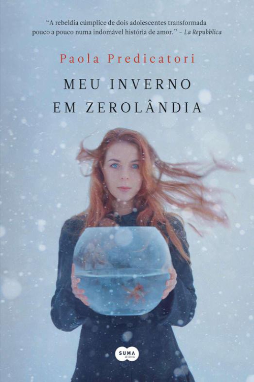 Meu inverno em Zerolândia