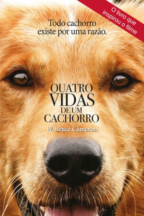 Quatro vidas de um cachorro