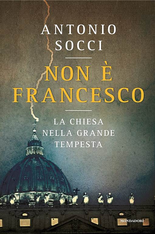 Non e Francesco. La Chiesa nella grande tempesta (Italian Edition)