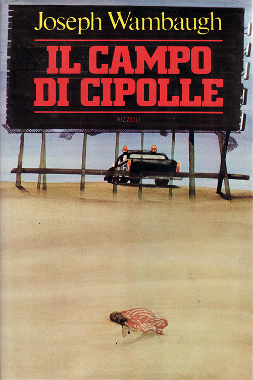 Il campo di cipolle