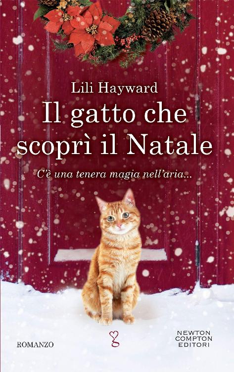 IL GATTO CHE SCOPRI IL NATALE
