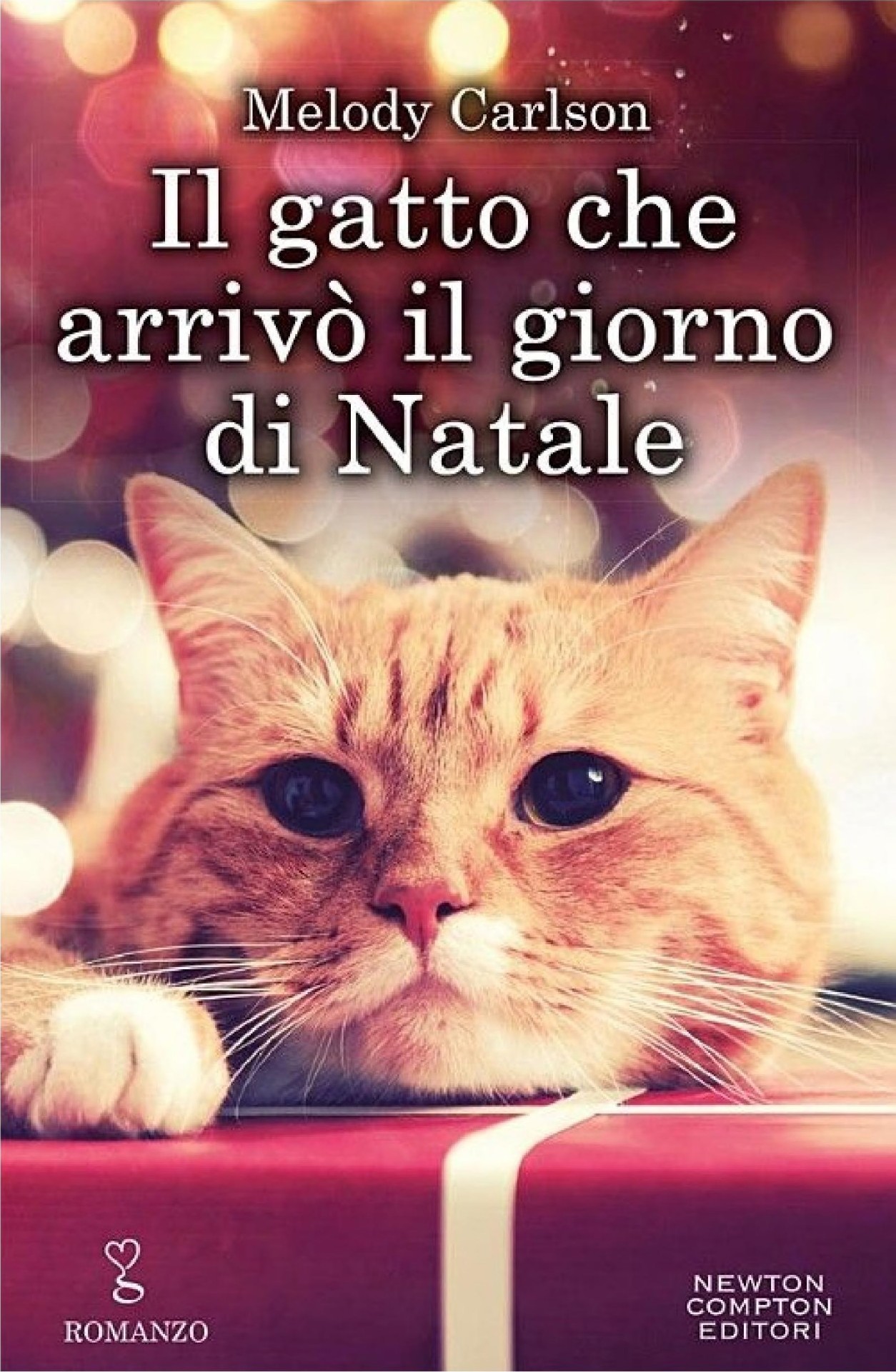 IL GATTO CHE ARRIVO IL GIORNO DI NATALE