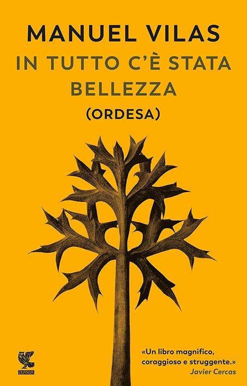 In tutto c'e stata bellezza (Italian Edition)
