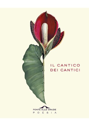 Il cantico dei cantici