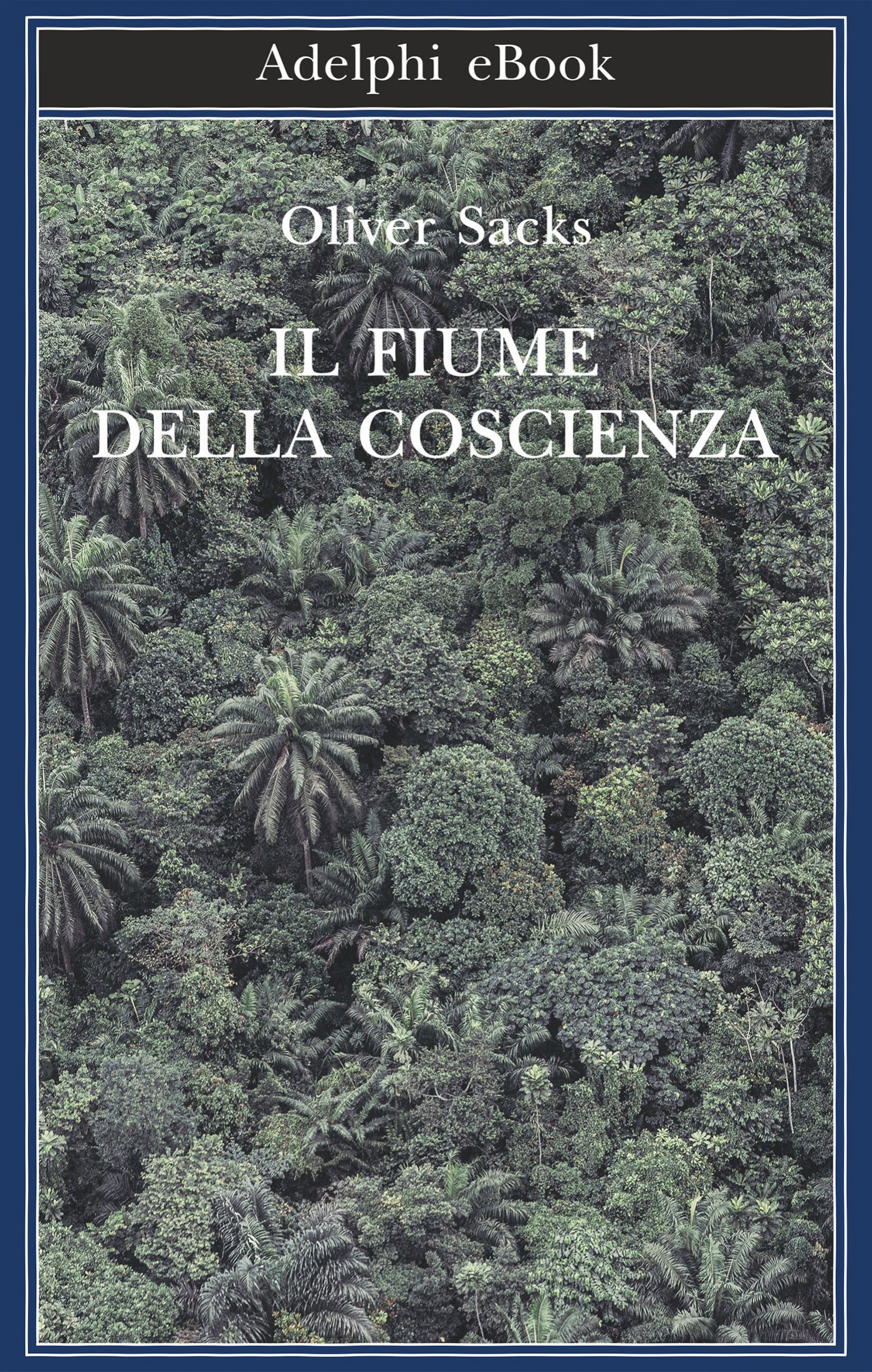 Il fiume della coscienza.