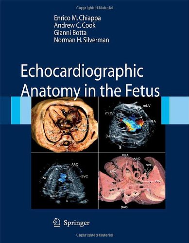 Echocardiographic Anatomy in the Fetus