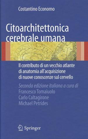 Citoarchitettonica Cerebrale Umana