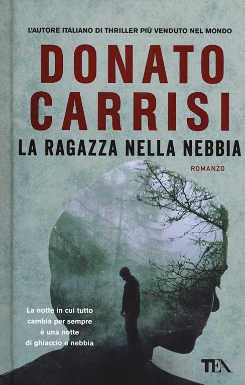 La ragazza nella nebbia (Italian Edition)