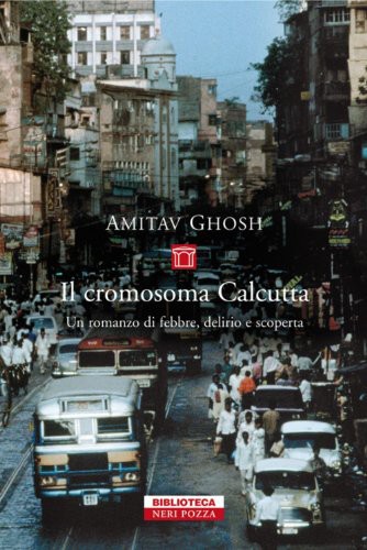 Il cromosoma Calcutta