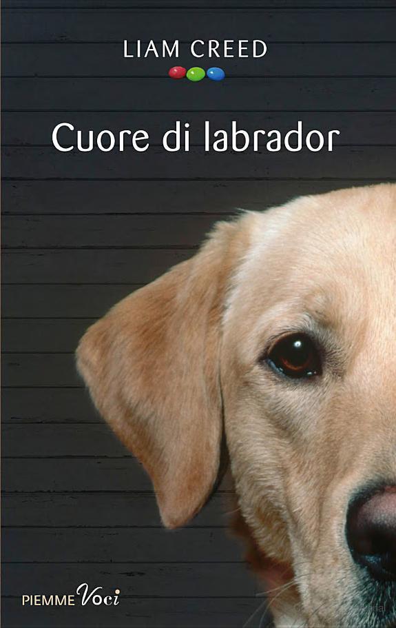 Cuore di labrador