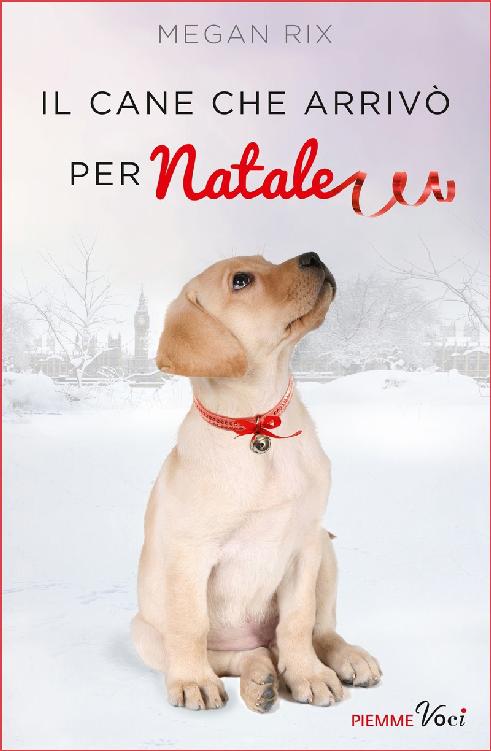 Il cane che arrivò per Natale