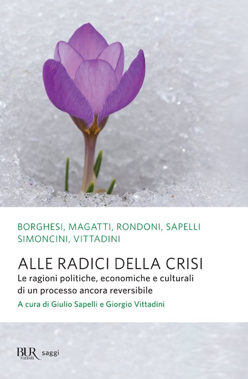 Alle radici della crisi. Le ragioni politiche, economiche e culturali di un processo ancora reversibile