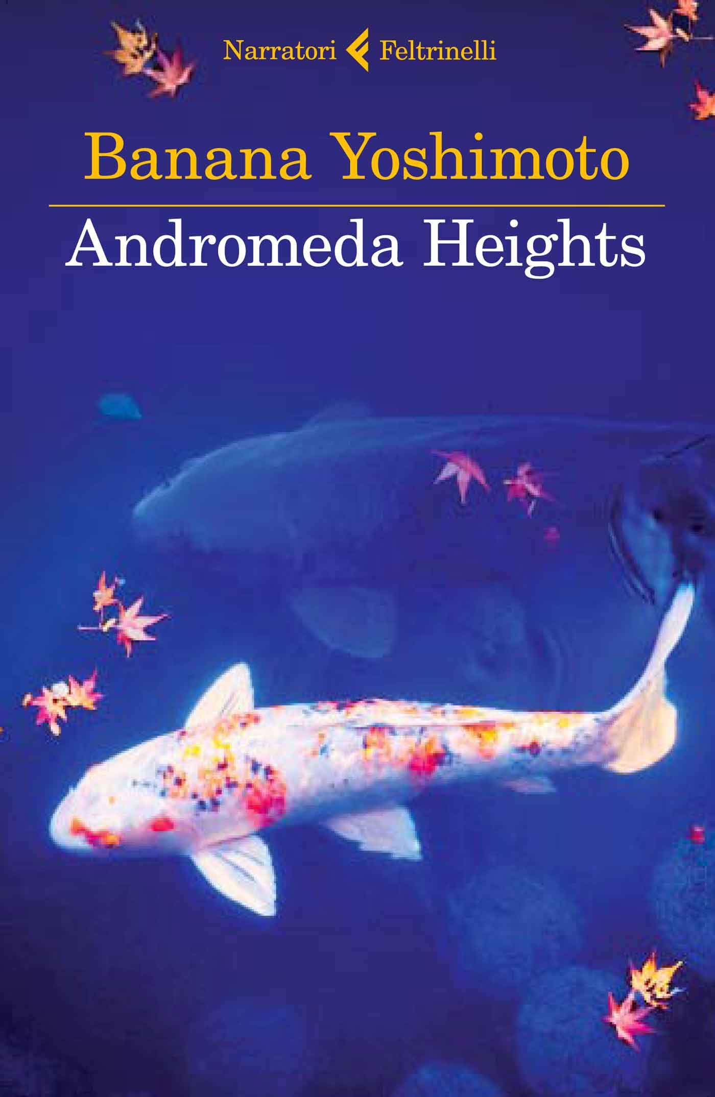 Andromeda heights