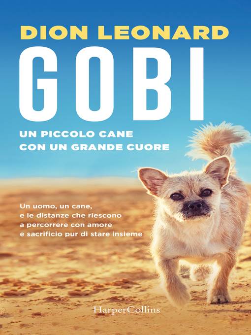 Gobi, un piccolo cane con un grande cuore