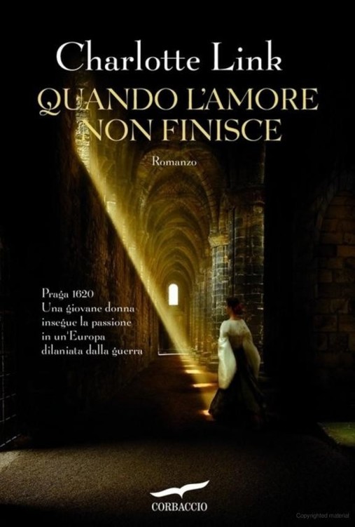 Quando l'amore non finisce : romanzo