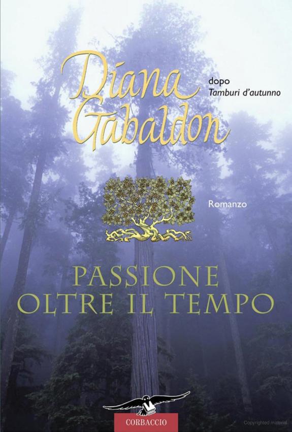 Passione oltre il tempo : romanzo