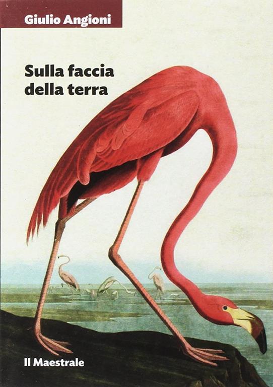 Sulla faccia della terra