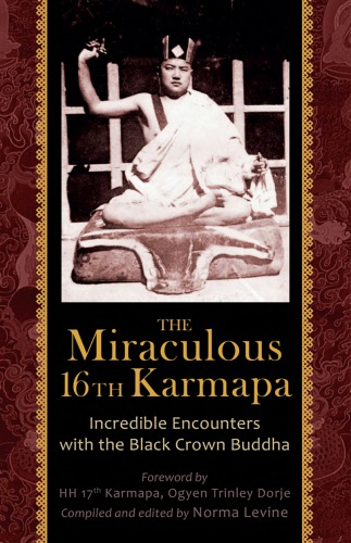 The Miraculous 16th Karmapa