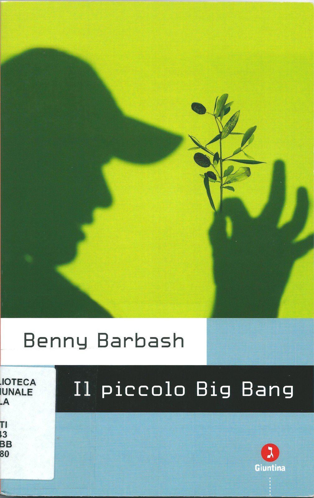 Il piccolo Big Bang