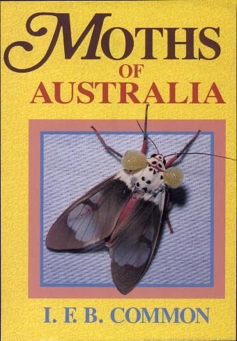 Moths of Australia