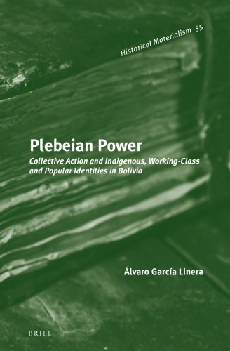 Plebeian Power