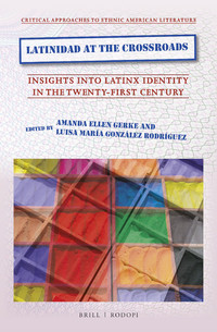 Latinidad at the crossroads : insights into Latinx identity in the twenty-first century