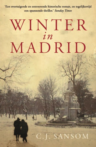 Winter in Madrid