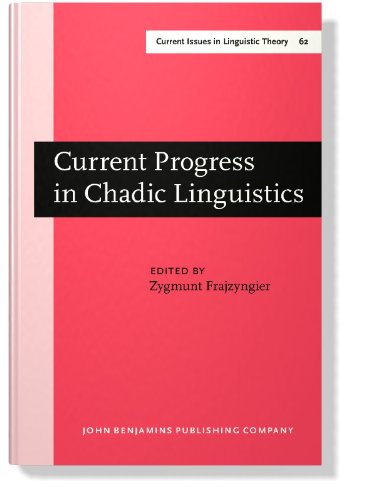 Current Progress in Chadic Linguistics