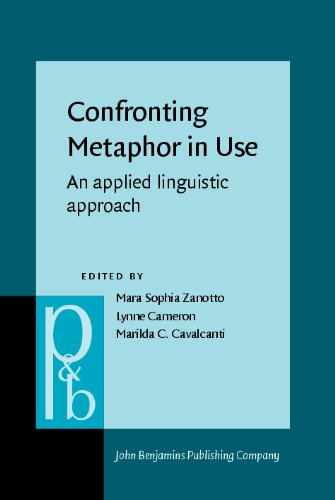 Confronting Metaphor in Use