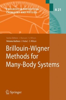 Brillouinwigner Methods for Manybody Systems