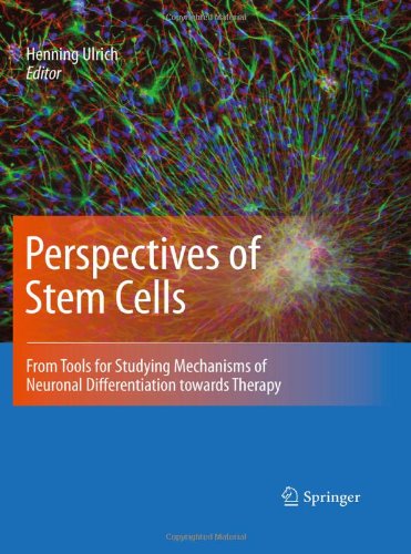 Perspectives of Stem Cells