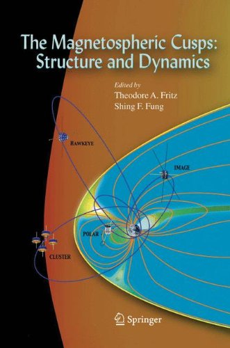 The Magnetospheric Cusps