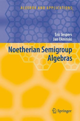 Noetherian Semigroup Algebras