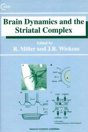 Brain Dynamics And The Striatal Complex (Conceptual Advances In Brain Research, Volume 1)