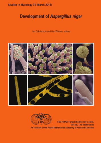 Development of Aspergillus niger